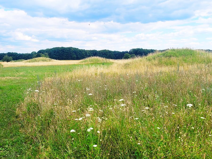 Hügelgräber auf dem Heidengraben.