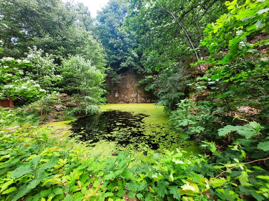 Da ist der: der Bergsee in Oberachern.