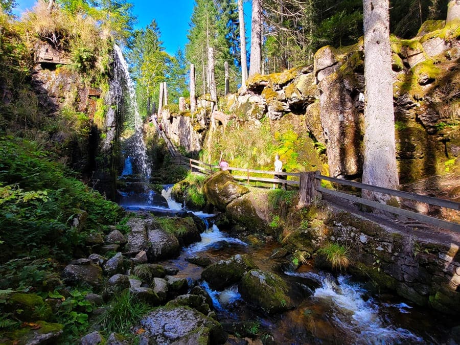 Auf einem "Hidden Trail" im Schwarzwald zu den Menzenschwander Wasserfällen wandern: Toller Rundweg über den Gipfel des Herzogenhorns!