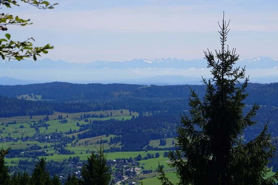 Die ersten Ausblicke über die Bernauer Alb bis hin zu den Alpen.