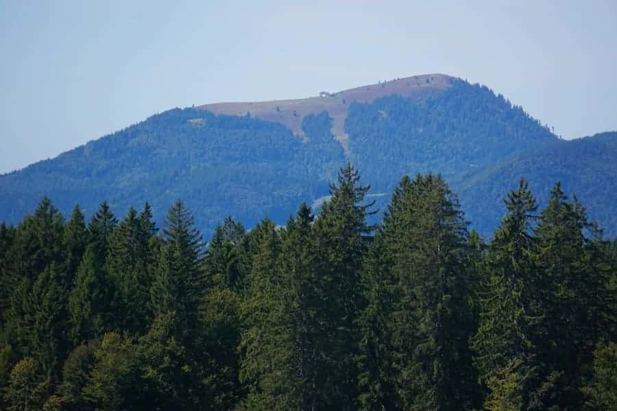 Der Belchen ist einer der höchsten Berge im Schwarzwald.