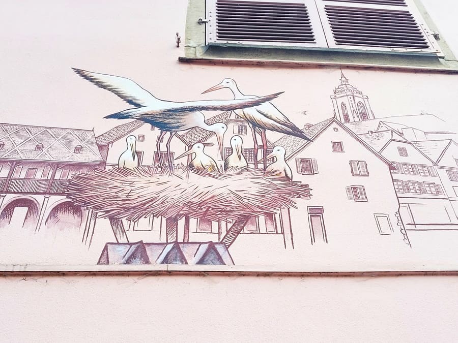 Der Storch ist ein Wahrzeichen des Elsass.