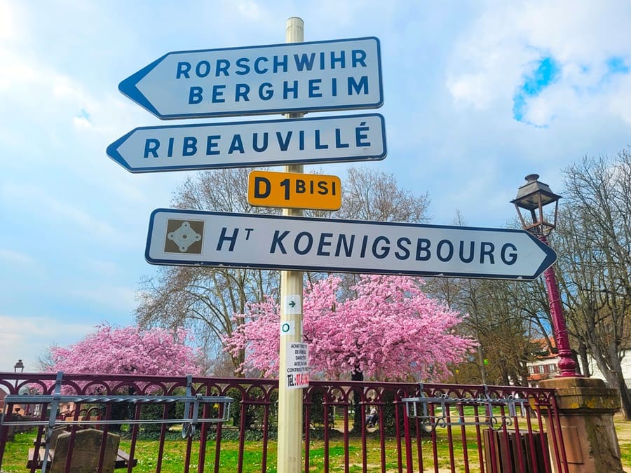 Waren wir gestern noch auf Burgenwanderug in Ribeauville, so geht es heute hinauf zur "Haut-Koenigsbourg".