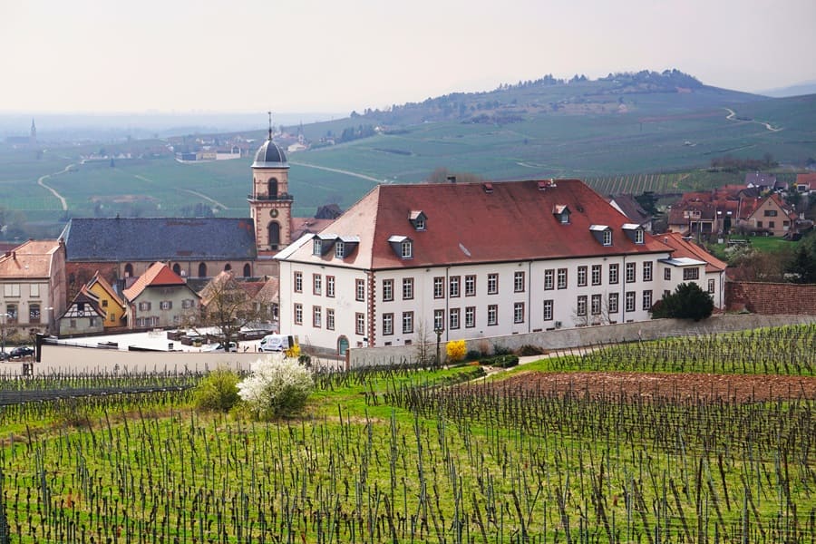 Blick zurück über die Weinberge auf die kleine Ortschaft Saint-Hippolyte.