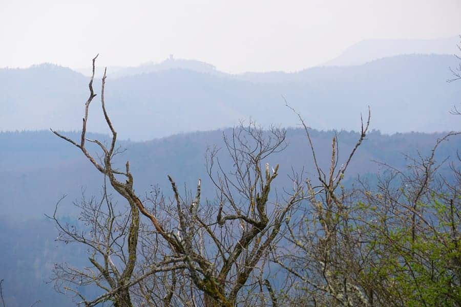 In der Ferne sind weitere Burgen in den Vogesen zu entdecken.