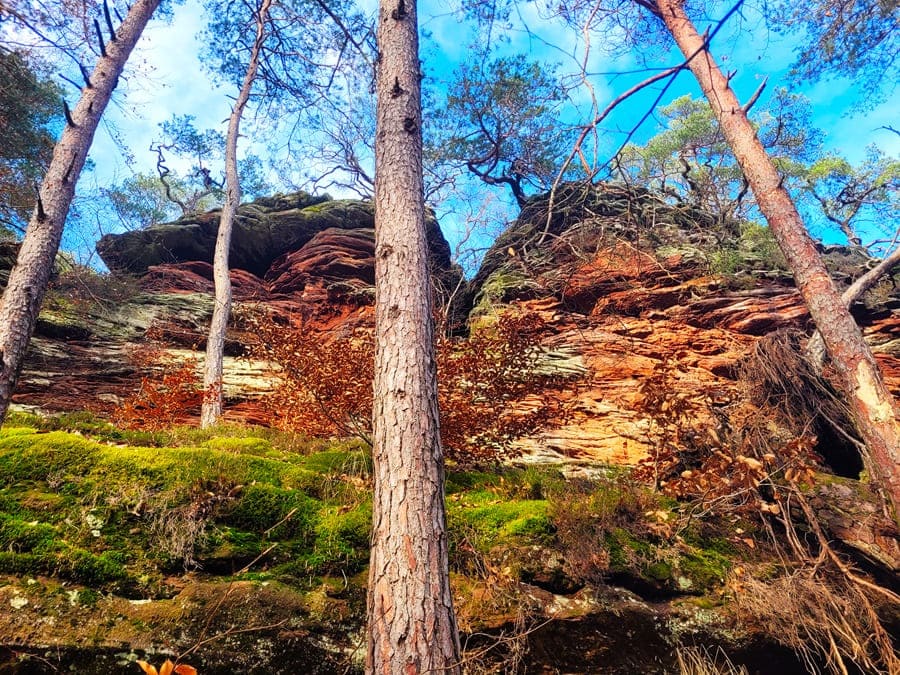 Blick beim Aufstieg auf die erste Buntsandsteinfelsenlandschaft.