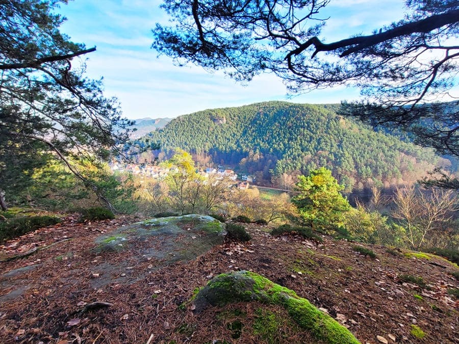 Aussicht vom Burghalder-Weg.