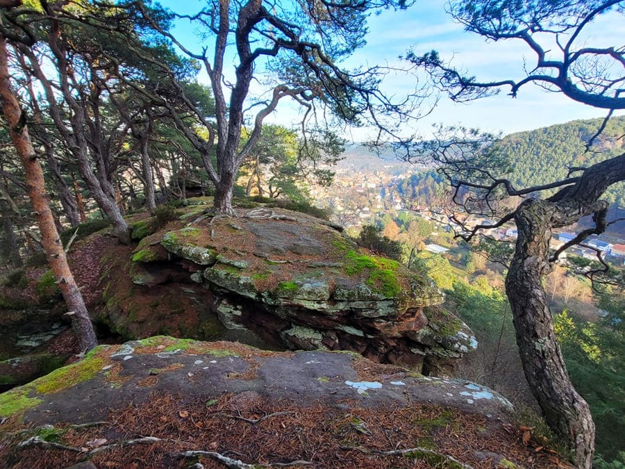 An dieser Stelle sind wir unsicher: Gehen wir jetzt über den Spalt am Burghalder hinüber oder lassen wir es besser sein?