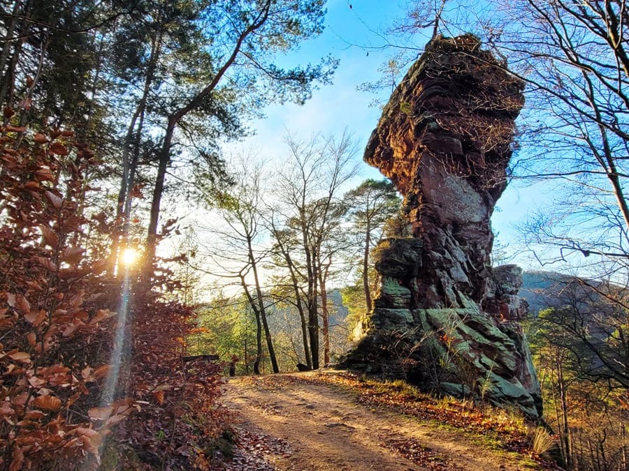 Der Wolfsfelsen thront oberhalb vom Stephanstal im Pfälzerwald.