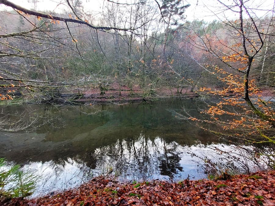 Auf dem Weg nach Hauenstein wandern wir nun an einigen Weihern und Angelteichen entlang.