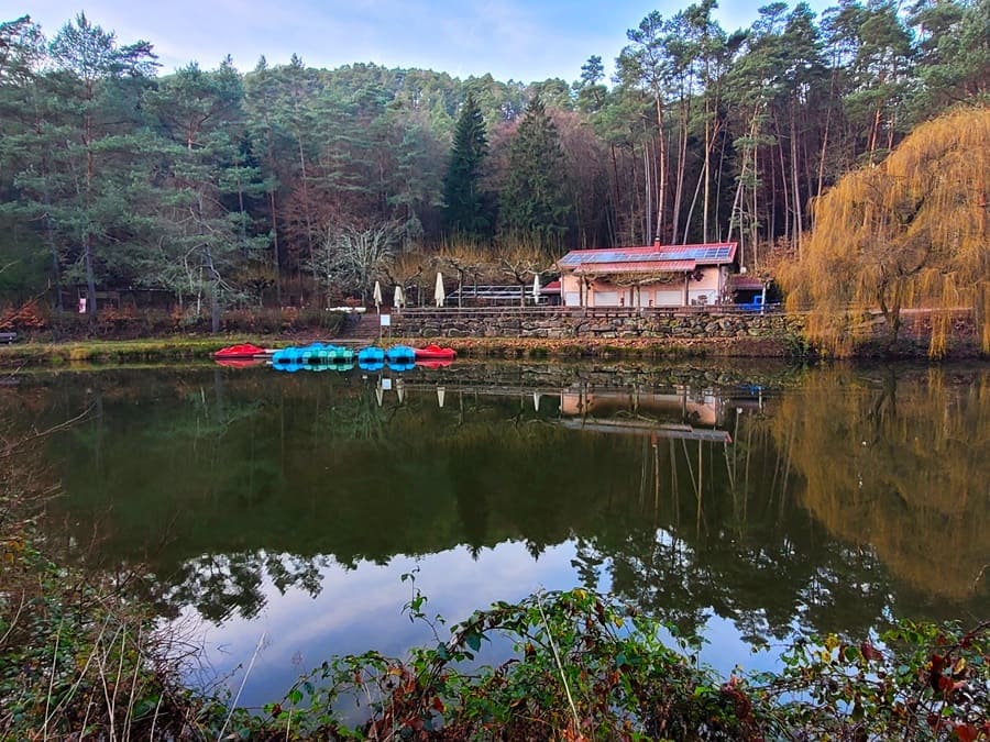 Der Paddelweiher ist ein beliebtes Ausflugsziel in Hauenstein.