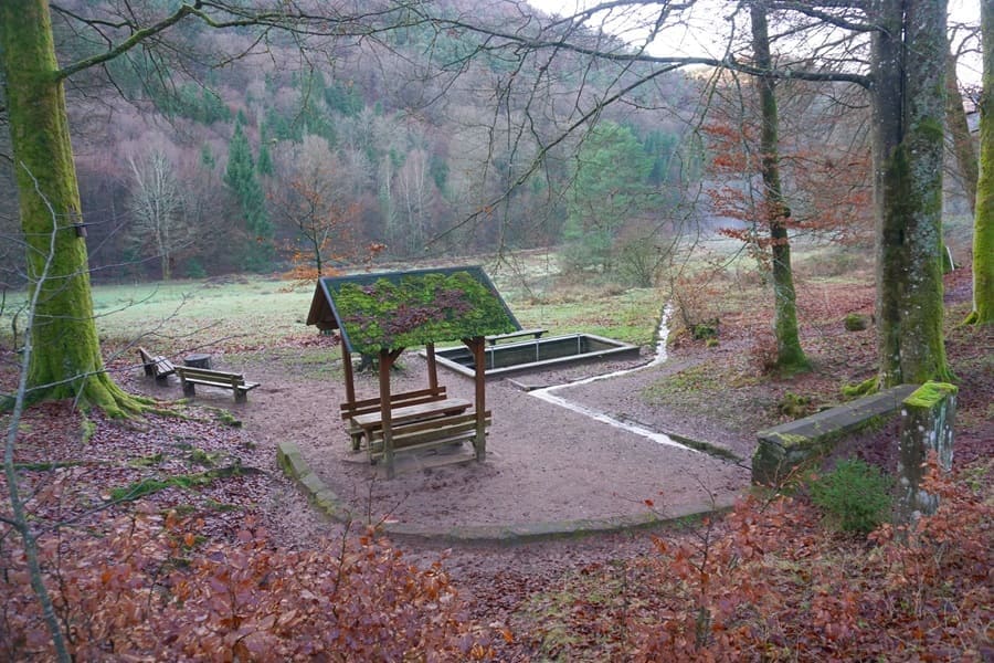 An der Queich-Quelle stehen mehrere Sitzbänke und ein Kneippbecken zur Verfügung.