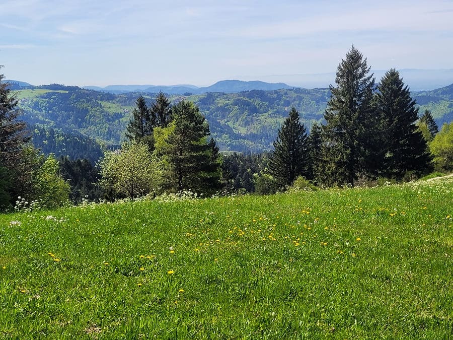 Blick vom Bosensteiner Almpfad in Richtung Mittlerer Schwarzwald.