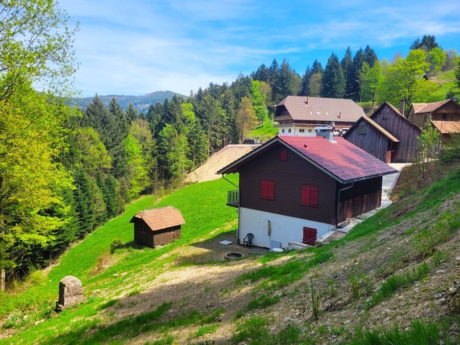 Wir haben nun den Fuchsmichelhof mit Wendelinuskapelle und Almpfadhüttle erreicht.