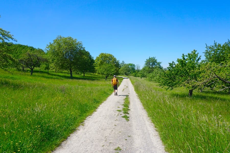 Am Früchtetrauf wandern: Premium-Wanderwege und Premium-Spazierwanderwege laden ein.