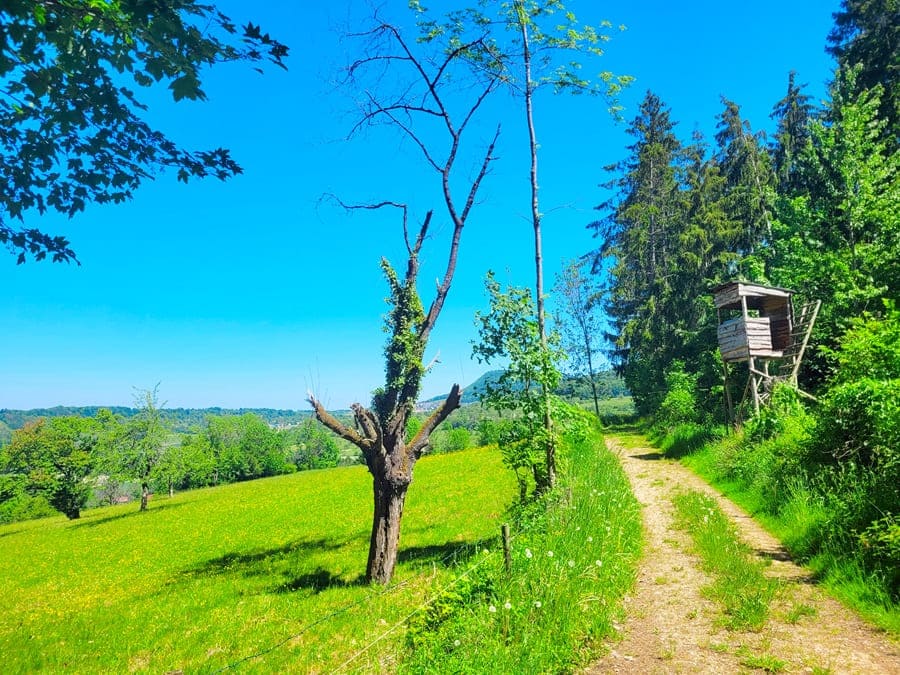 Aussichtsreich wandern wir auf dem Premium-Spazierwanderweg entlang.