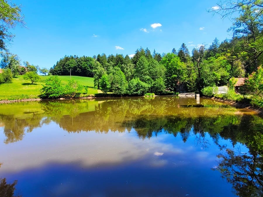 Mühlweiher an der Brandhofer Öl- und Sägemühle.