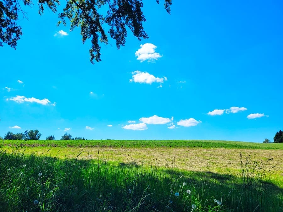 Rundwanderweg "Weites Land und historische Mühlen" in Gschwend.