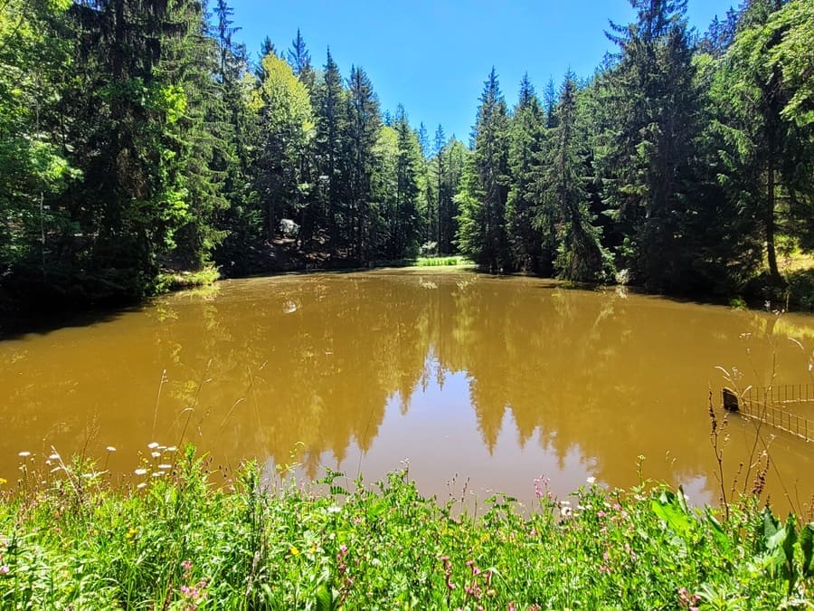 Ein Weiher reiht sich an den nächsten in der Ellwanger Seenlandschaft.
