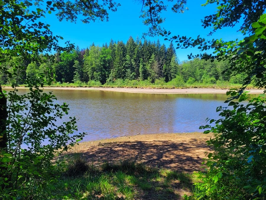 Wir haben den Muckenweiher erreicht.